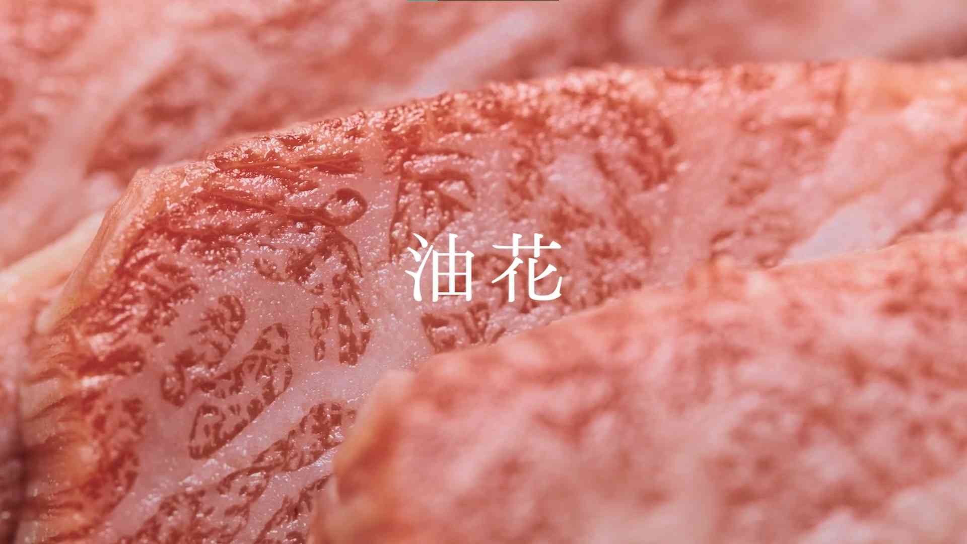  粒子派對 | Particle Party